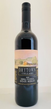 2019 Merlot